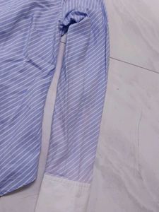 Striped Blue Shirt