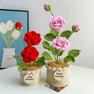 Crochet Flower Pot