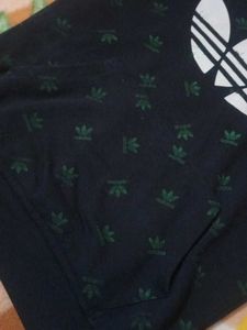 Hoddie