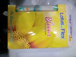 Toothbrush Pack Of 3