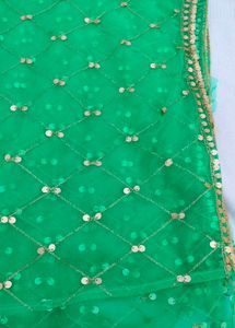 Green Net Dupatta lehenga
