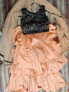 Sparkly Lehenga Choli Set
