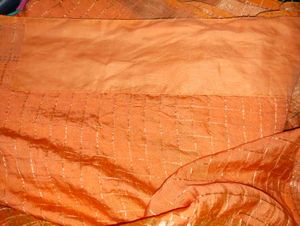 orange saree Gold Shimmer Blouse