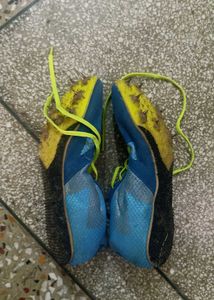 Sport Shoes