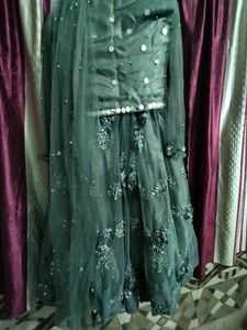 Party Wear Lehnga With Choli Nd Dupatta