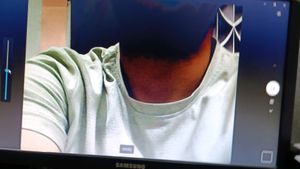 Webcam Working Good Quality