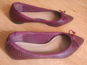 Pointed Toes Flats With Bow