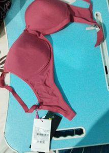 Elegant Maroon Bra