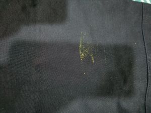 Branded Jet Black Pant From Us Polo Assn.