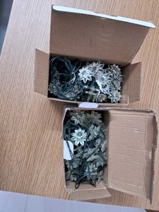 SOLAR LIGHTS. Flower String Lights - Set of Two