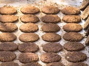 Pure Cow/Buffalo Dung Gobar Big Upla/uplay Cow/ Kande/gosse/thepdi/Cow Dung Cakefor Hawan, Puja &amp; Religious Purpose