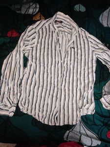 Branded New Striped Shirts