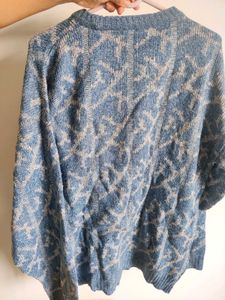 Blue Sweater
