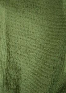 Olive Green Button-Down Shirt