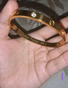 Cartier Gold Stainless Steel Love Bracelet
