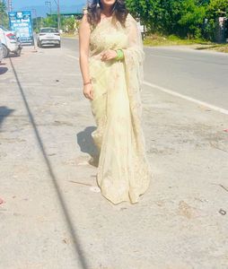 Elegant Embroidered Saree