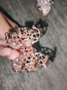 Combo of 2 Fashionable Hair Clips