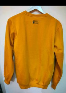 Unused Brand New Sweatshirt Pack Of 3