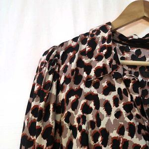 Collared Leopard Print Dress