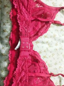 Dress Berry Bra