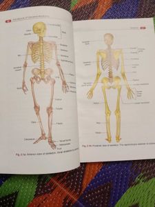 General Anatomy Handbook