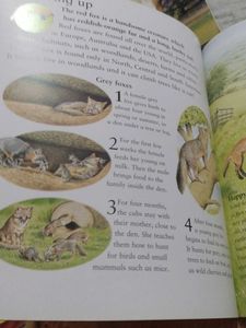 Children&#39;s Educational Books Set