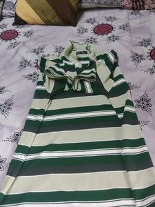 Collar T Shirt With Multi Colour  Stripes