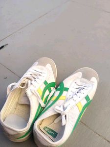 shoe
