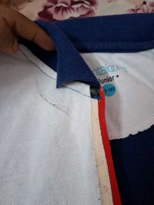 Stylish Polo T-Shirt - Blue &amp; White