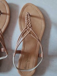 Elegant Brown Flats