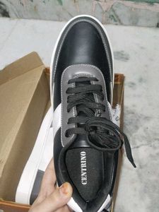 Men's Casual Shoes