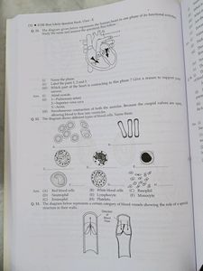ICSE BIOLOGY CLASS 10 QUESTION BANK