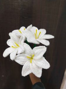 Viral Crochet Lilly 🤍