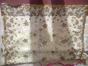 Cream Color Designer Saree With Redimade Blouse