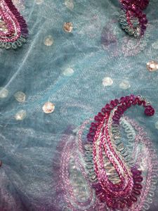 Double Shade Net With Full Dupptta Embroidery