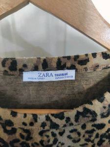 Zara Animal Print Crop Top