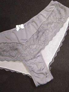 Embroidery Gray Lace Trim Pantie