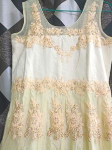 Beautiful Long Party Wear Gown