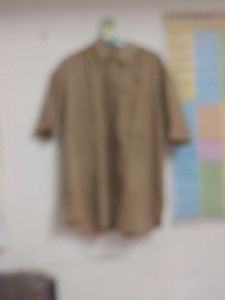 Tan Short Sleeve Button-Down