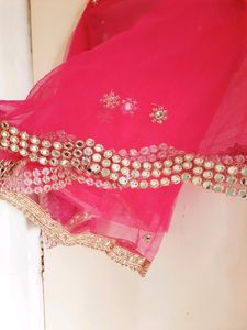 Women Royal Look Lahnga Choli