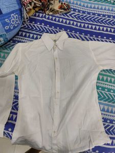 White Button Down Shirt