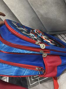 Combo Of 2 Bags