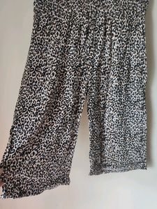 Leopard Print Half Pant