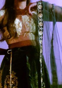 Elegant Green Lehenga Choli