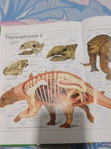 Visual Dictionary