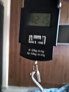 Indian Safari Board Game