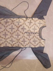 Elegant Women's Ethnic Gown