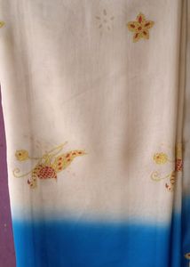 Beautiful Saree 💙