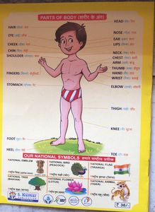 Gyan Ganga Phada|| All In One Book For Kids||