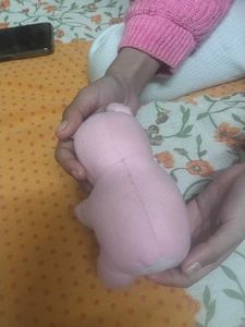 Cute Pink Stuffed Toy